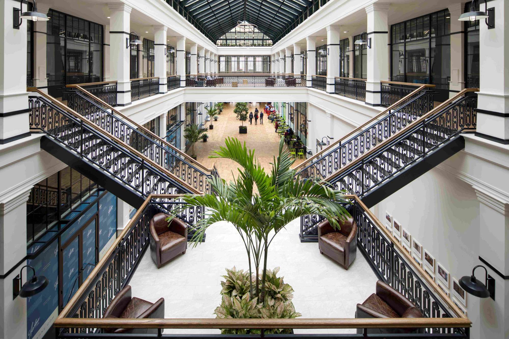 Interior view of a modern atrium with staircases and a central palm tree.