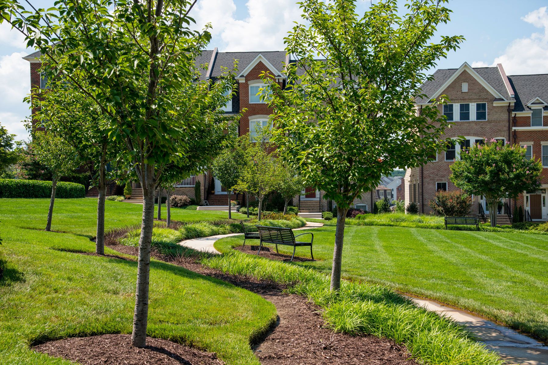 Sunny landscape with trees, green lawn, and a bench near residential buildings.