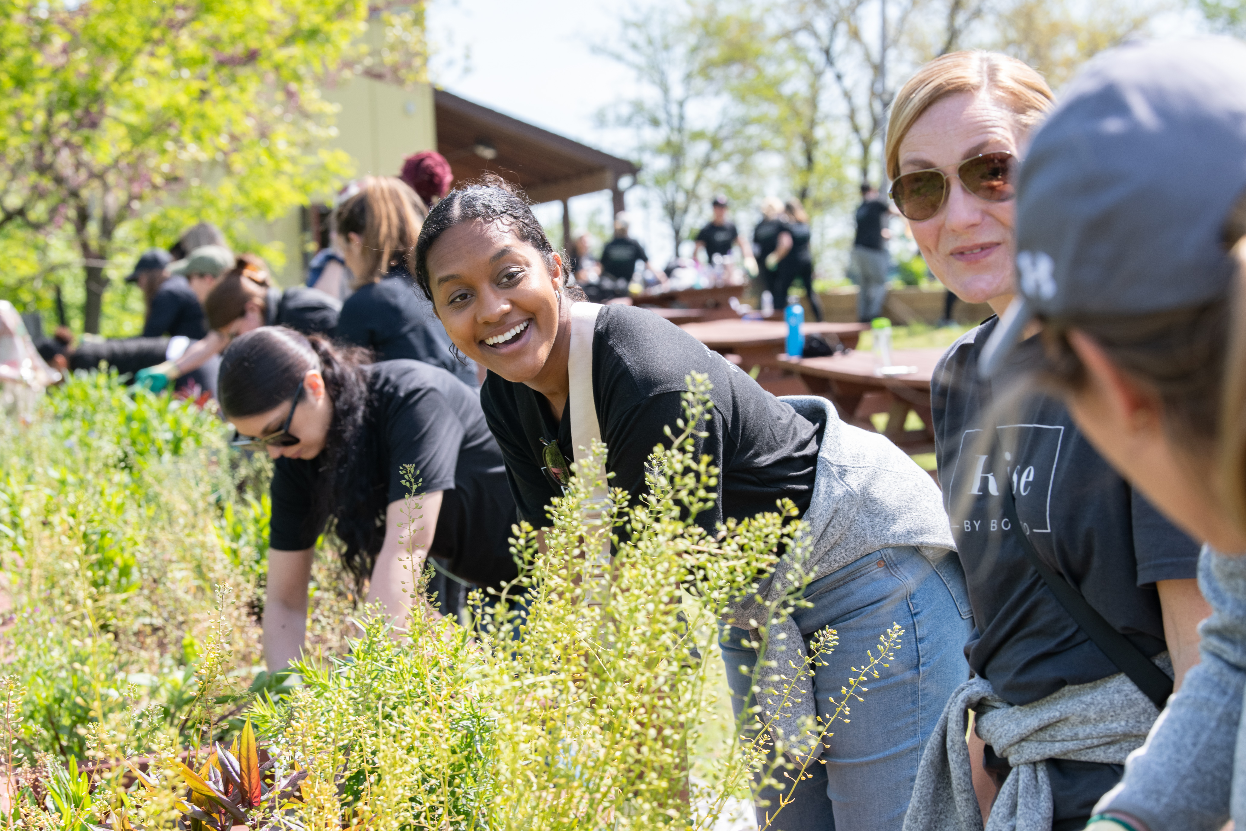 Group of people gardening outdoors on a sunny day.