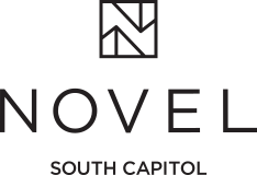 Logo of Novel South Capitol featuring modern typography.