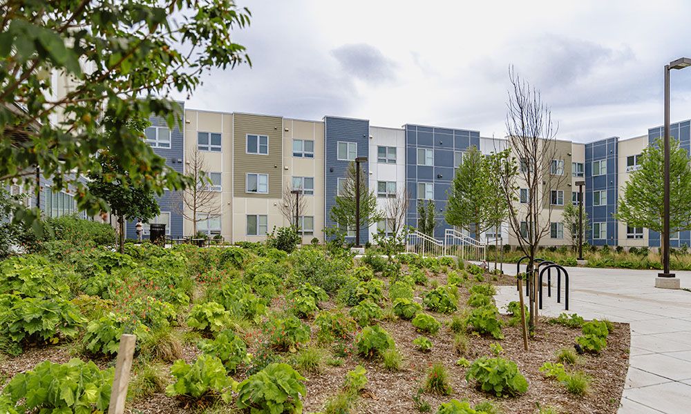 Modern apartment building surrounded by neatly landscaped greenery.
