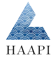 Stylized blue waves forming a triangular shape.