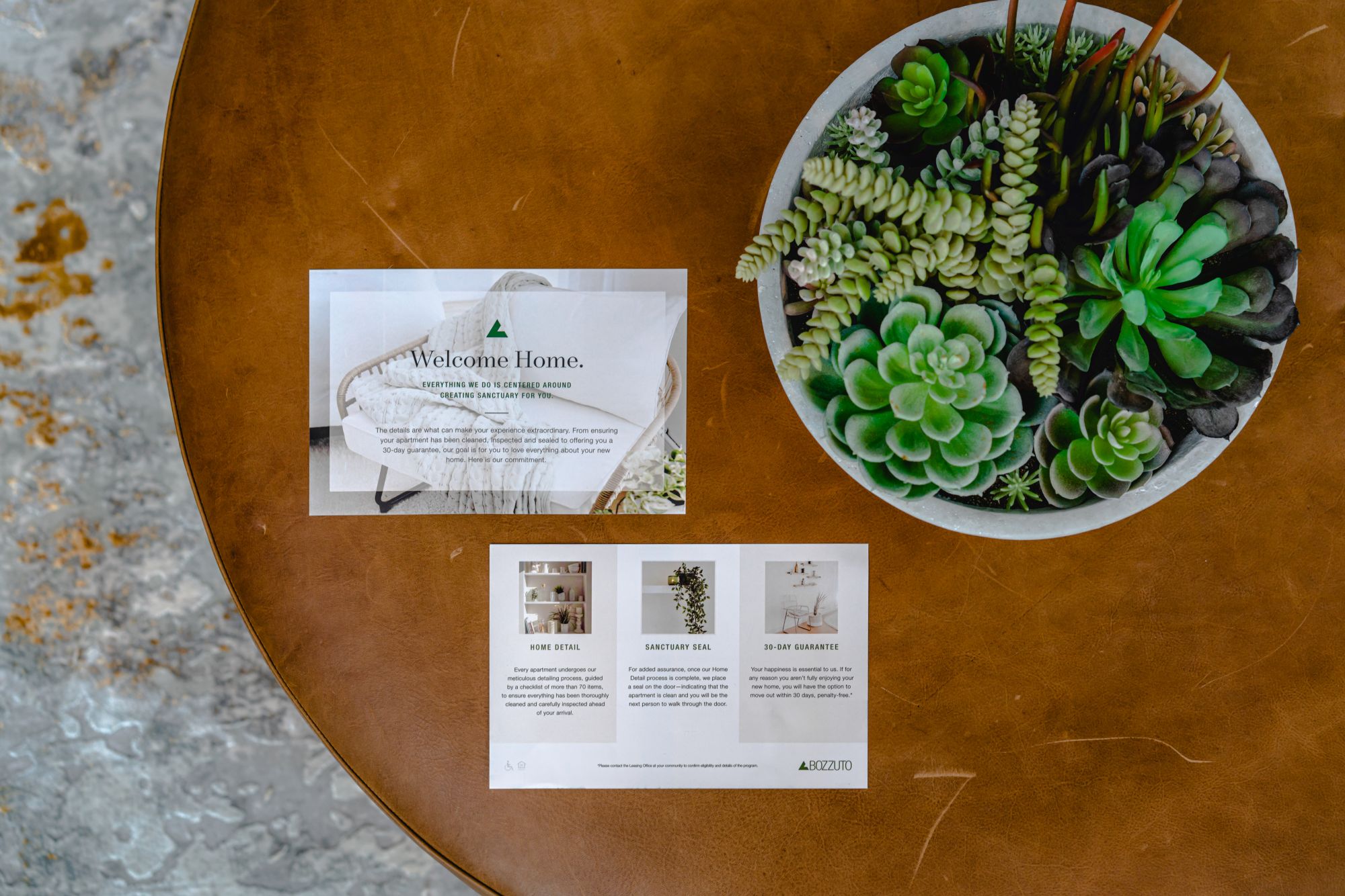 Succulent plants in a bowl on a wooden table with informational cards.