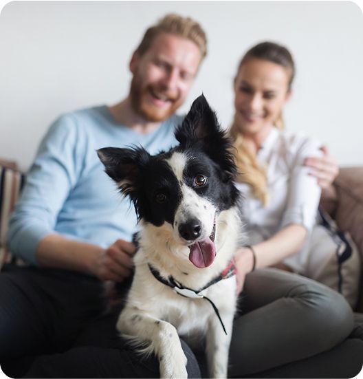A happy couple sits on a couch with a smiling dog in front of them.