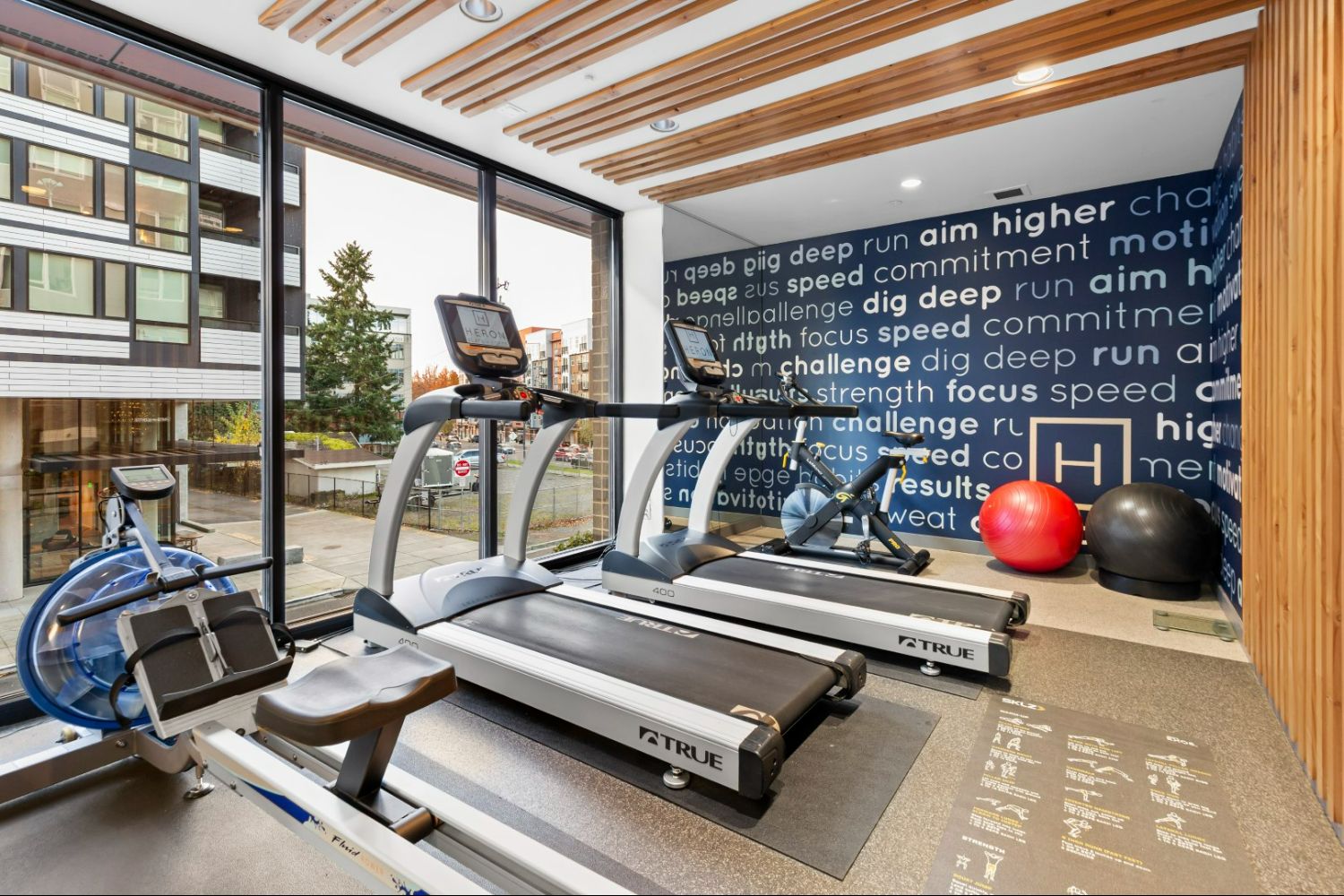 Gym Cardio