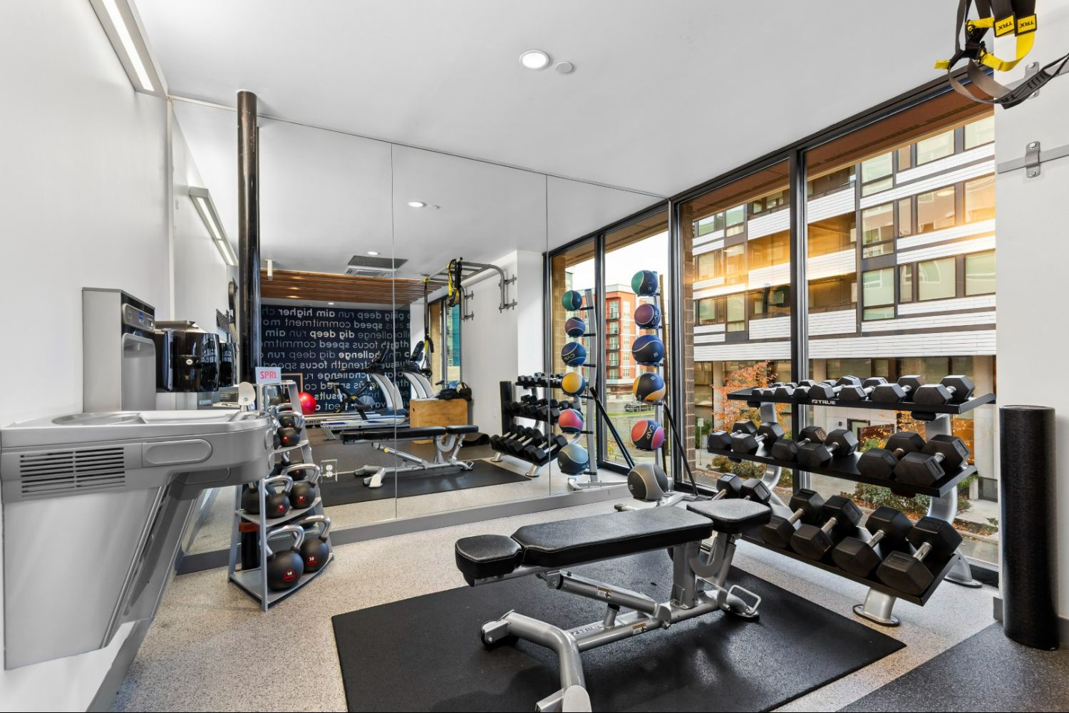 Gym Weights