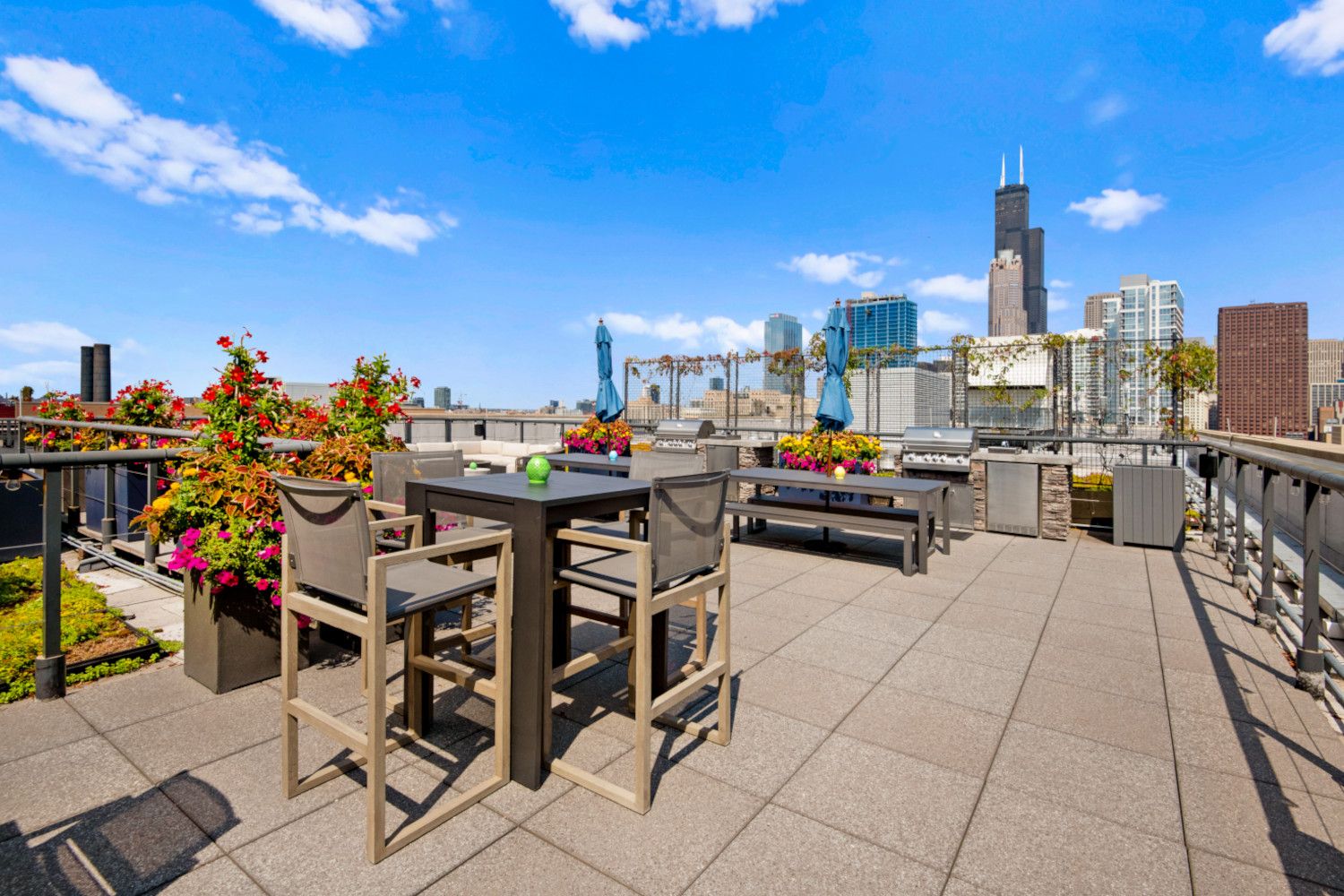 Rooftop View