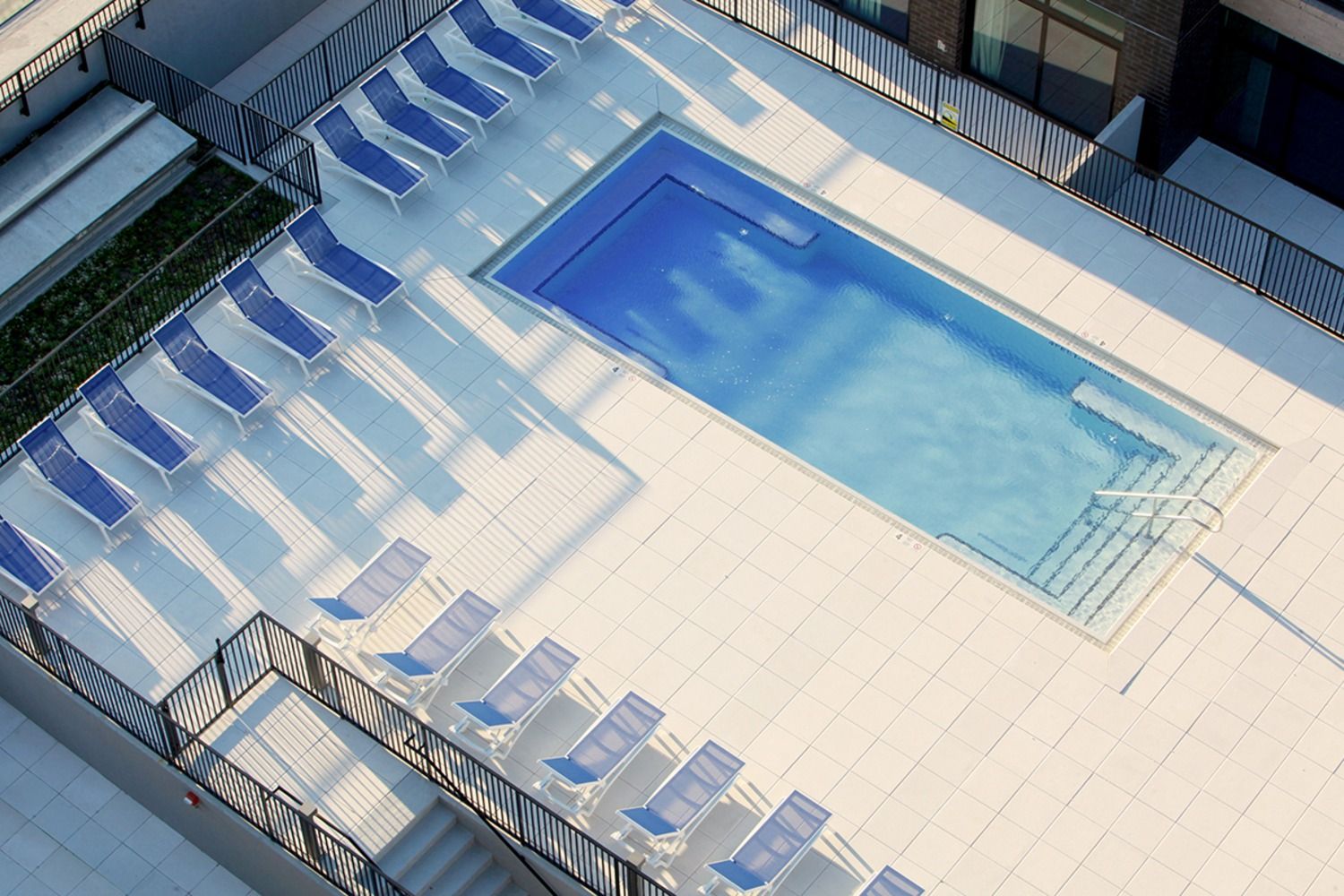 Rooftop Pool