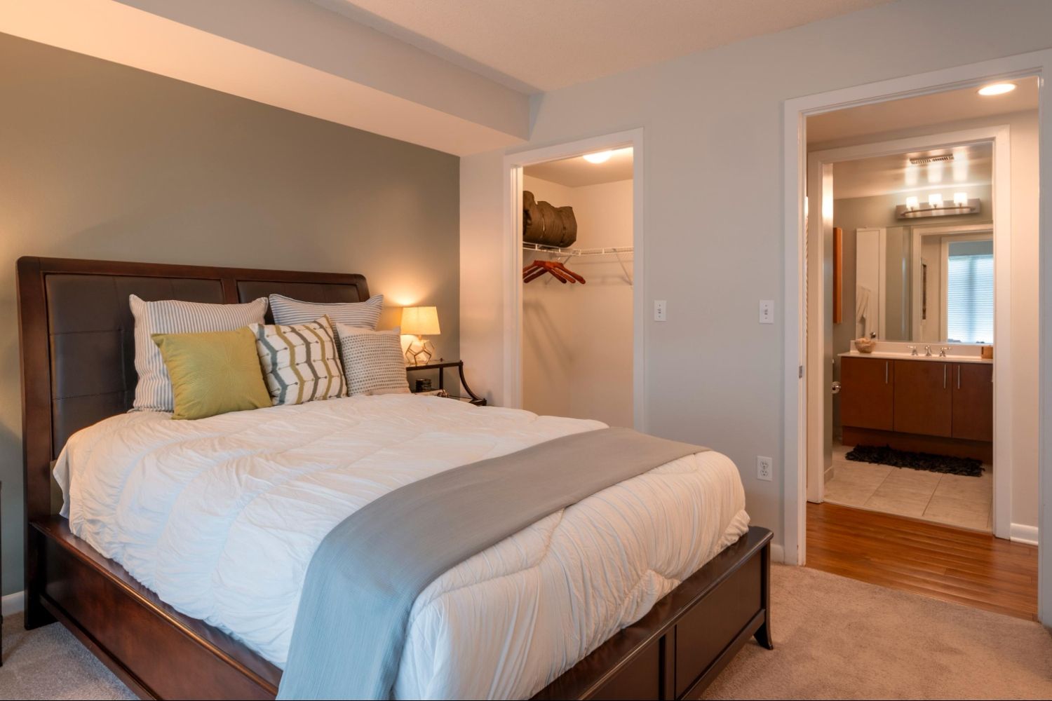 Bedroom with walk-in closet and bathroom