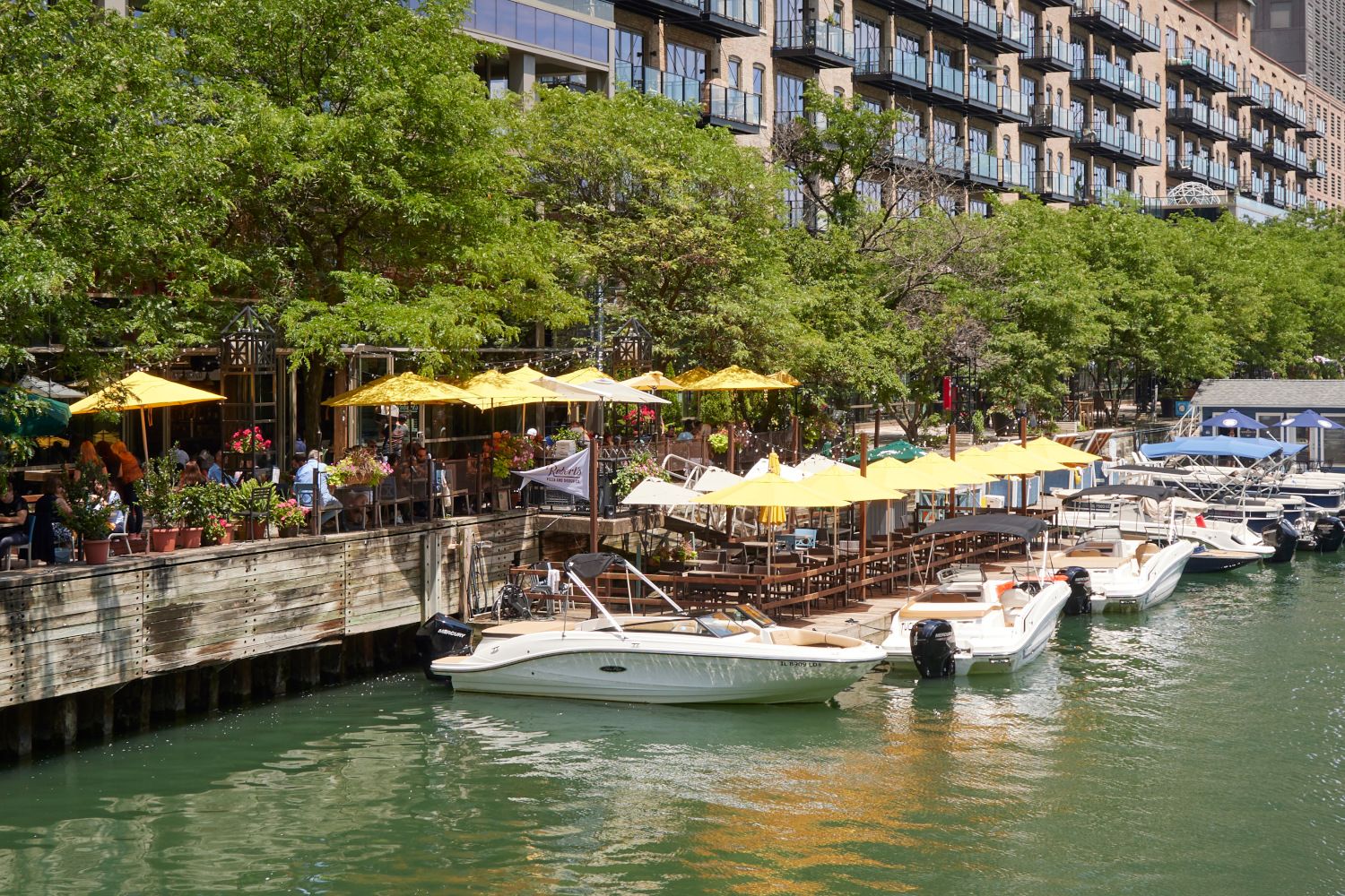 Wide sweeping view of the Chicago skyline and city lights from Atwater Apartments.