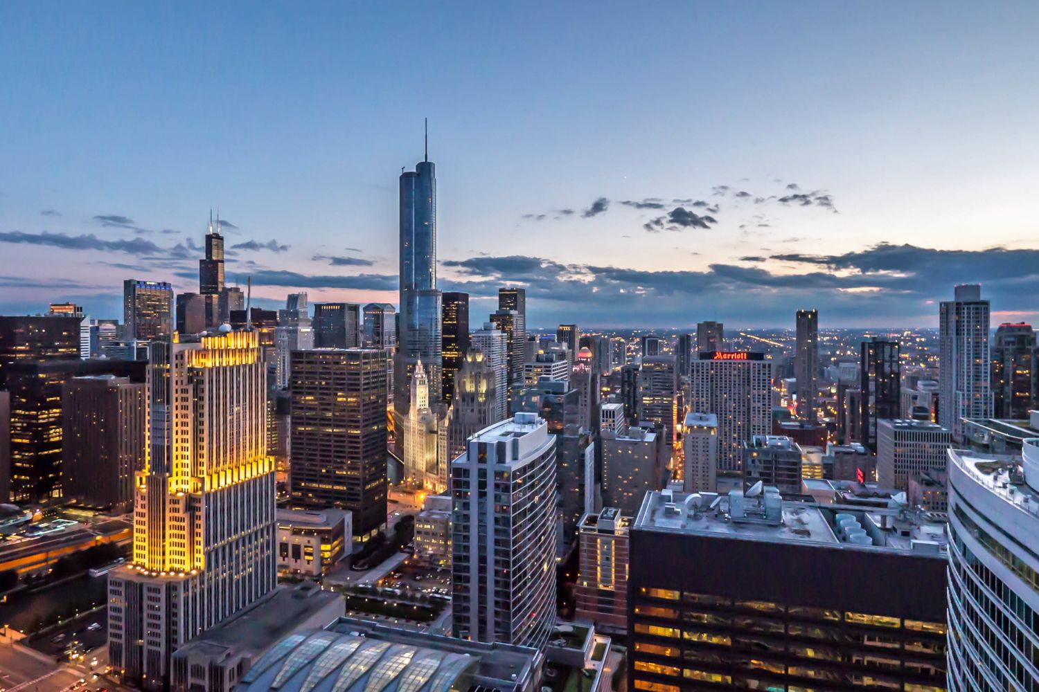 Wide angle of Atwater's west daytime views capturing the Chicago skyline.