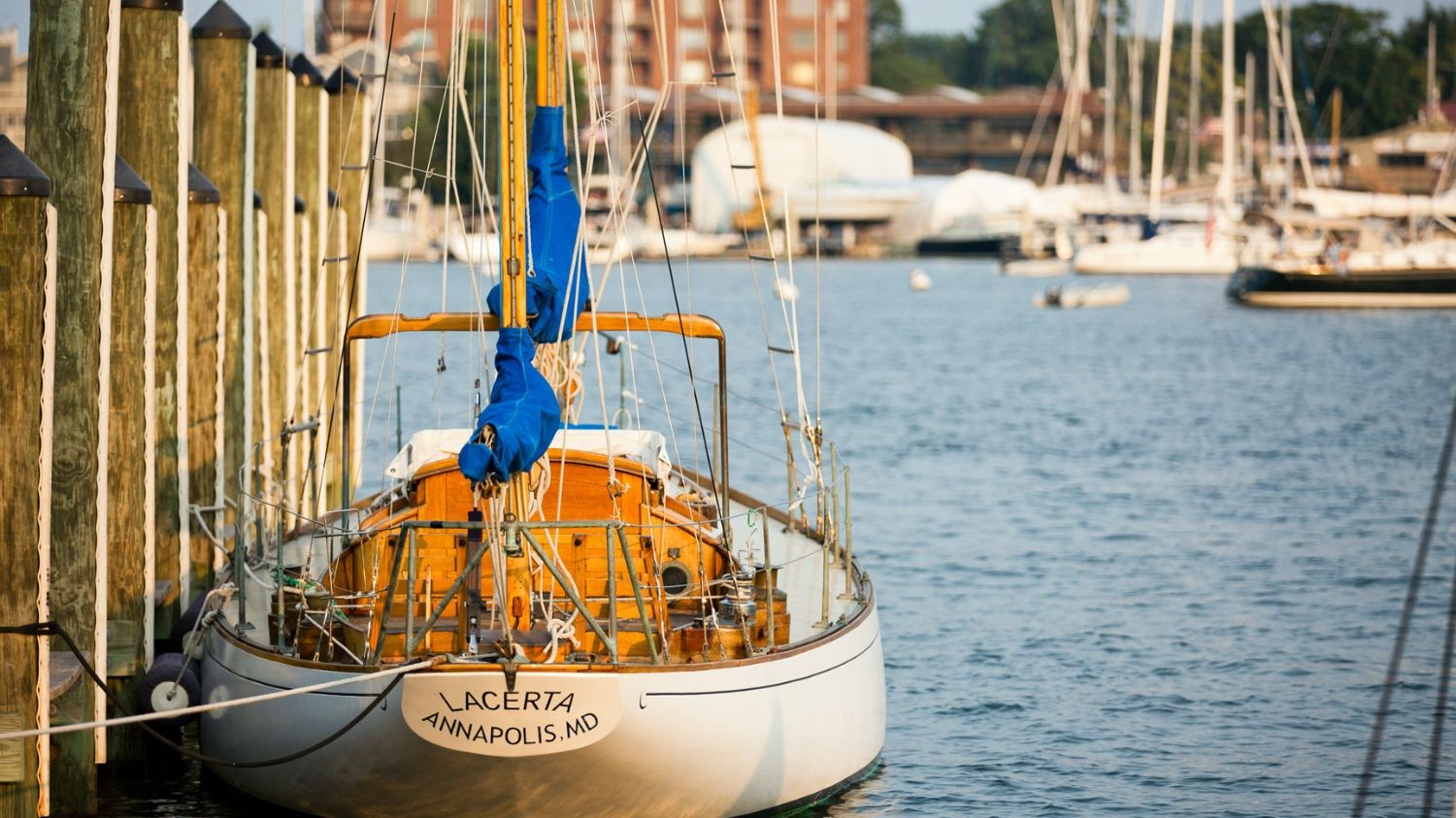 Photo of neighborhood