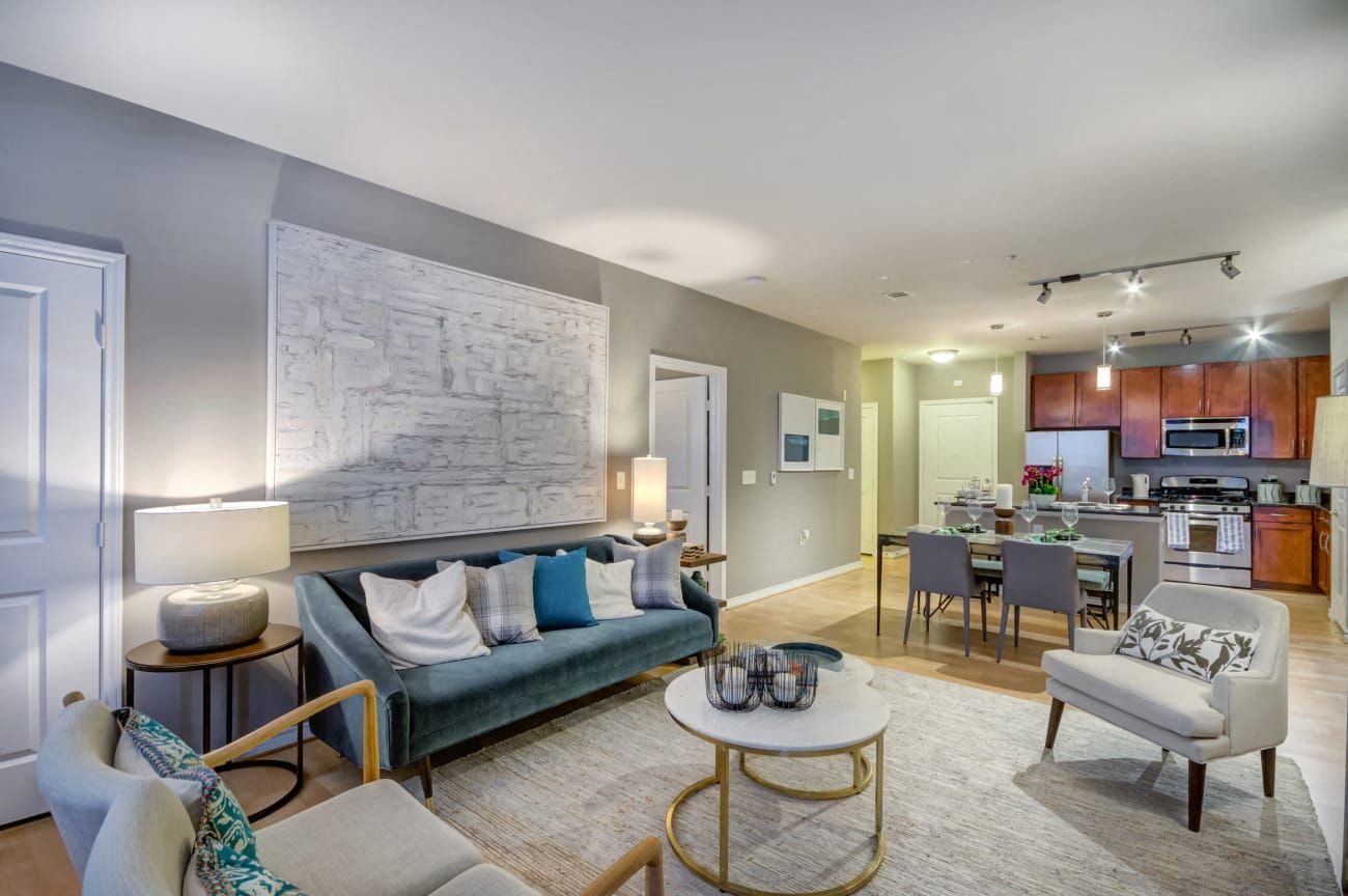 Open-concept Living Room and Kitchen