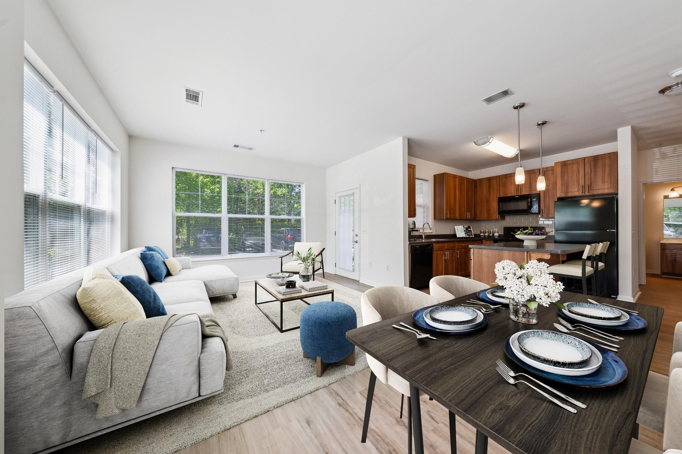 Living room and Kitchen