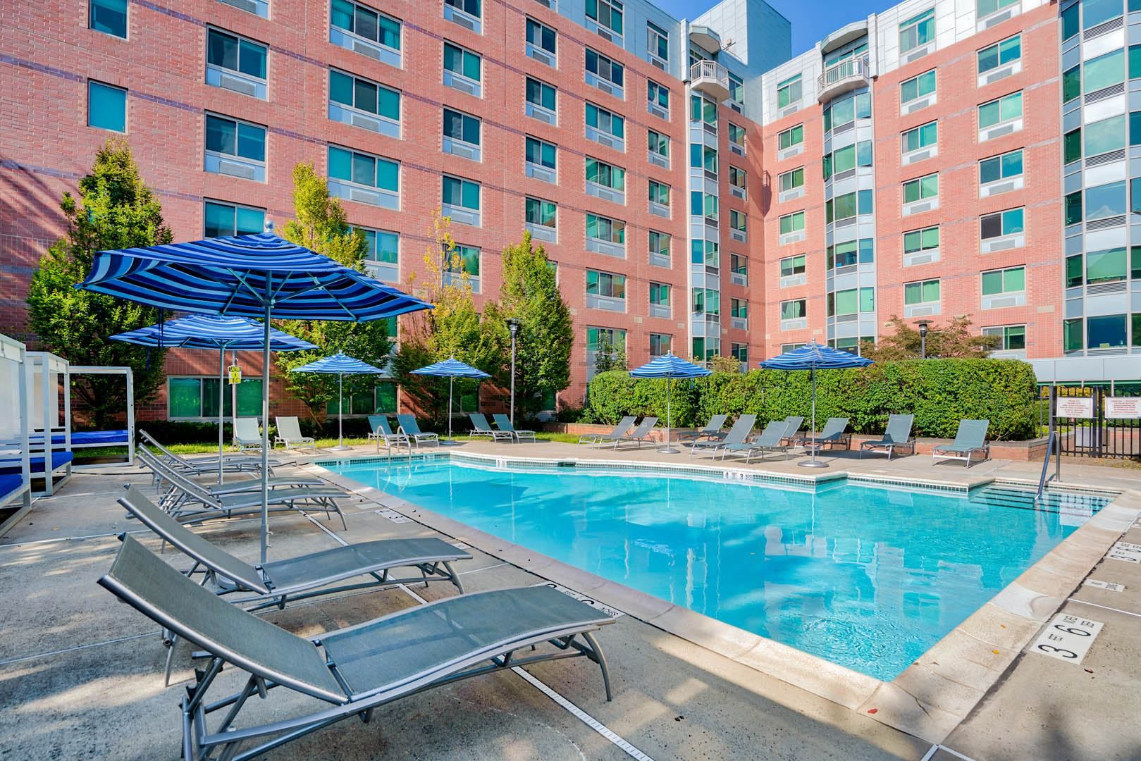 Modern hotel pool area with lounge chairs and umbrellas surrounded by greenery.