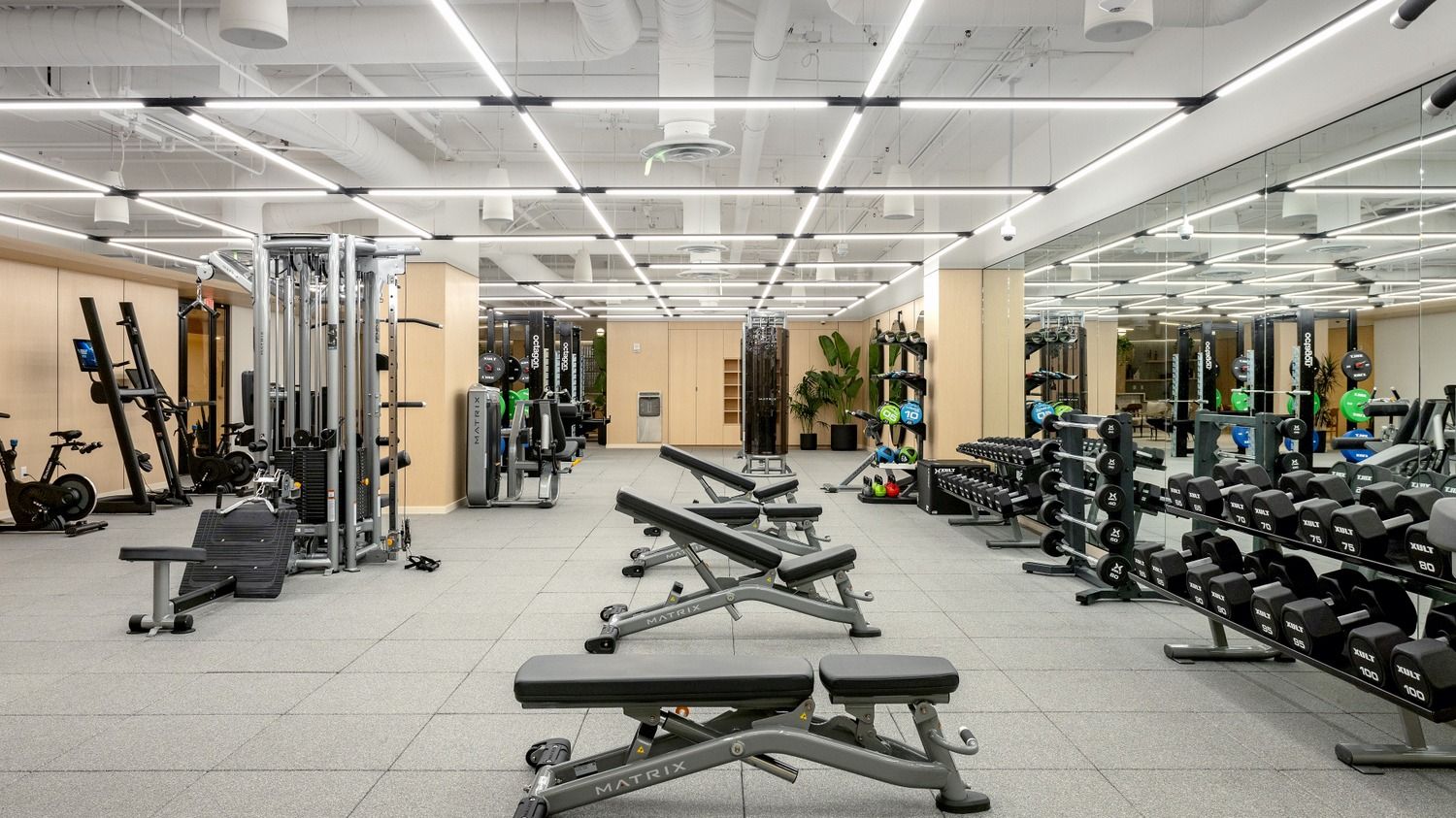 Fully equipped gym to power your fitness journey