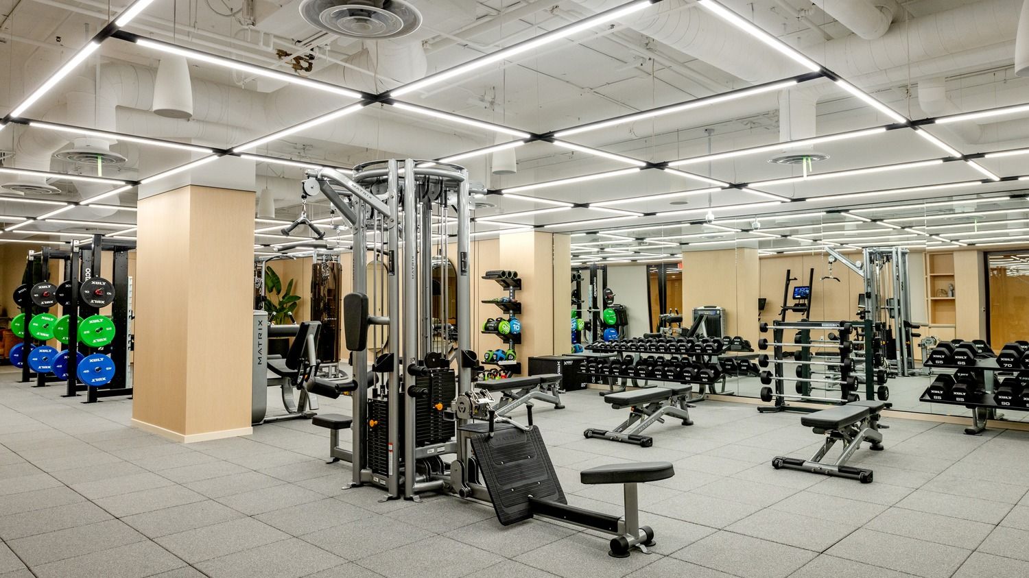 Your health and wellness journey starts here