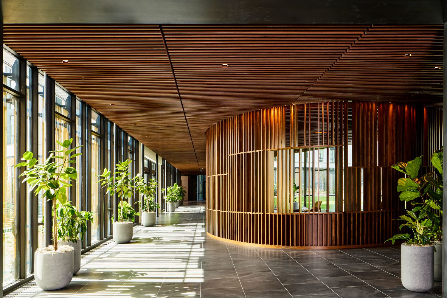 Sun soaked lobby space invites you home