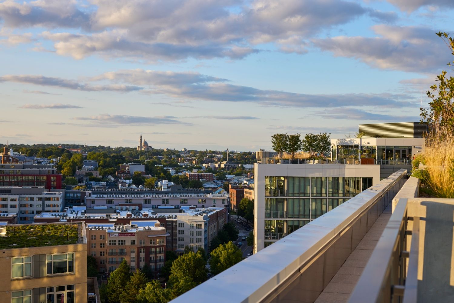 Expansive roof space offers fresh air in the city
