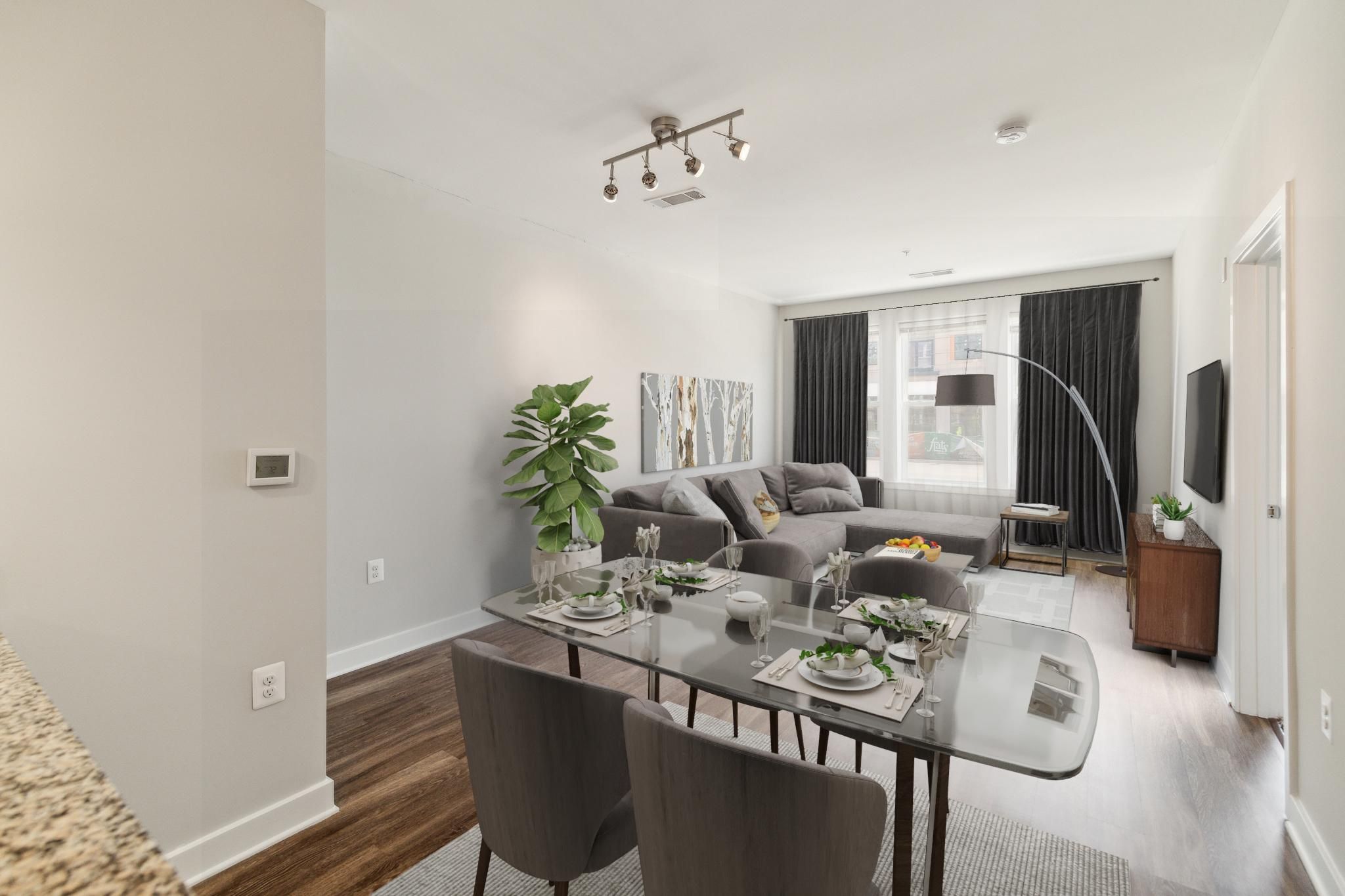 Modern living and dining area with a gray sofa, dining table, and decorative plants.