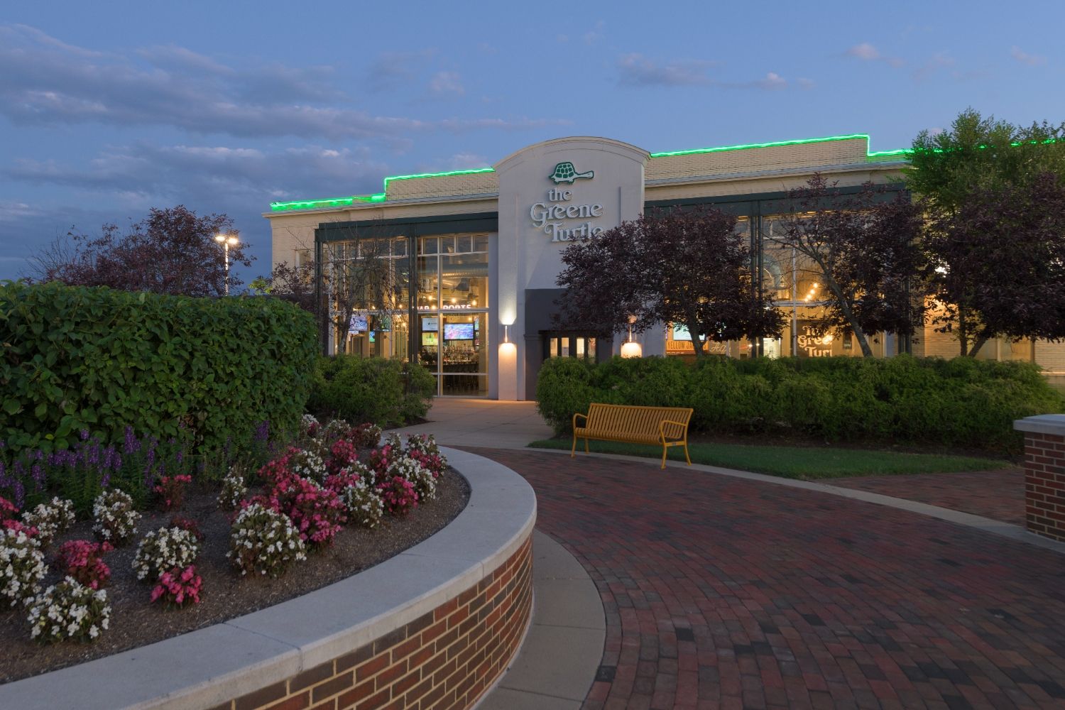 Photo of greene turtle