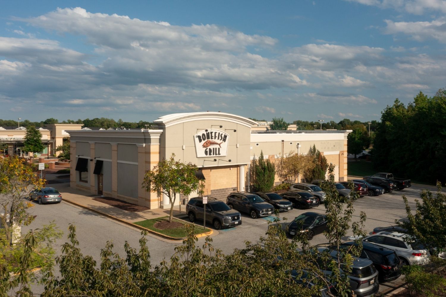 Photo of bone fish grill