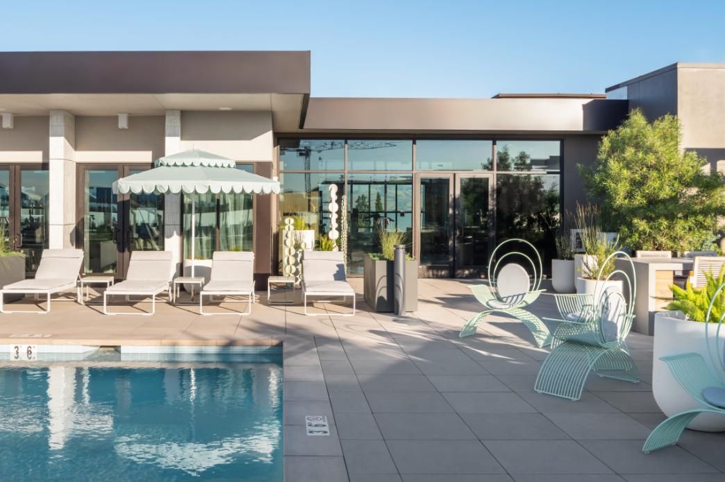 Modern rooftop pool area with lounge chairs and plants under a clear blue sky.