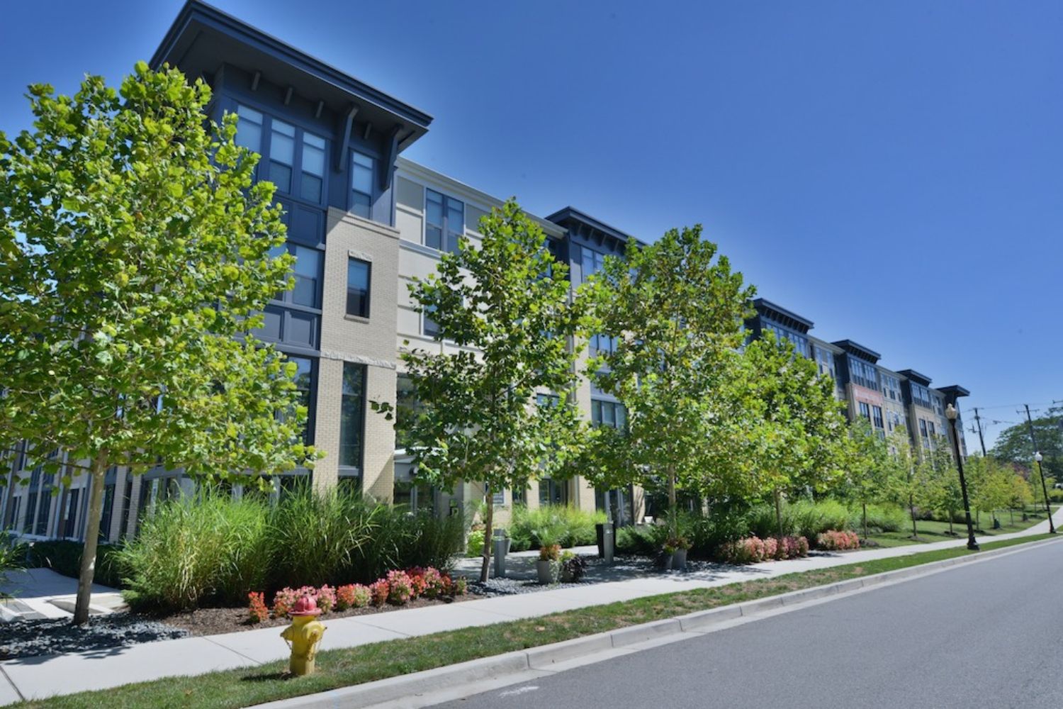 From sidewalk to doorstep, your urban sanctuary awaits