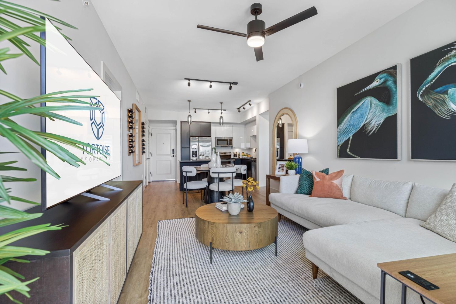 Living room and kitchen