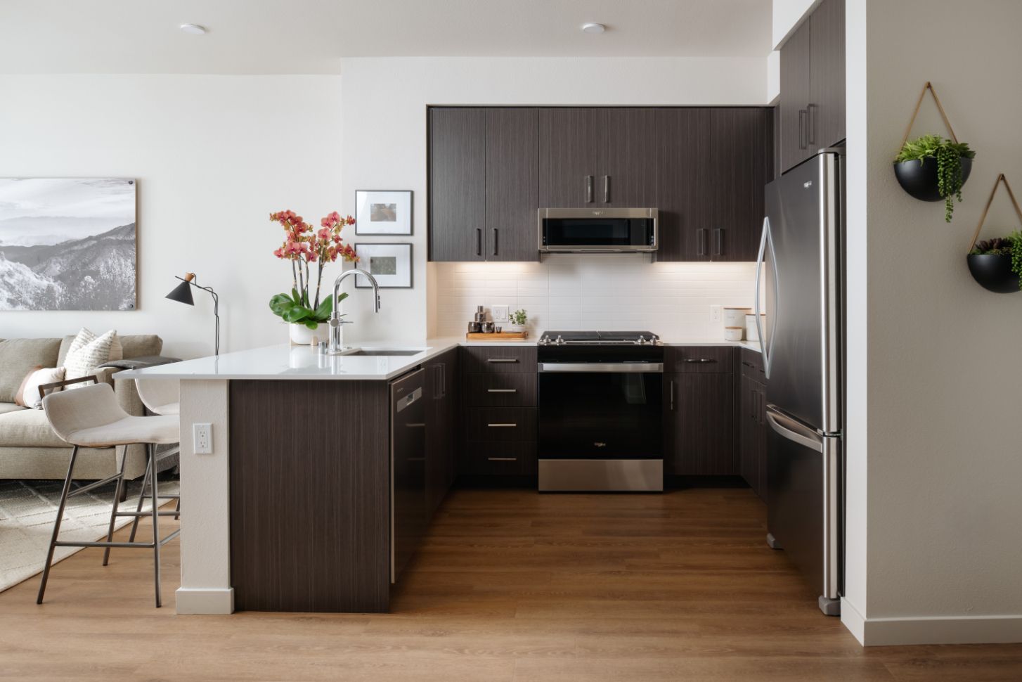 Modern kitchen with dark cabinetry, stainless steel appliances, and minimal decor.