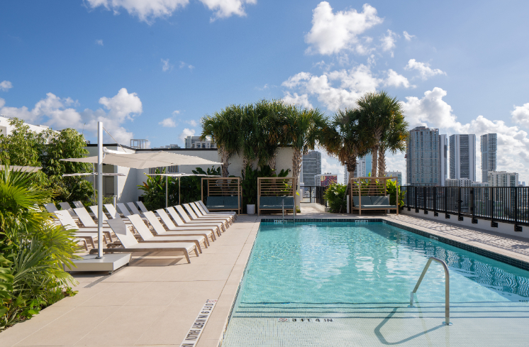 Rooftop pool area with lounge chairs, palm trees, and city skyline in the background.
