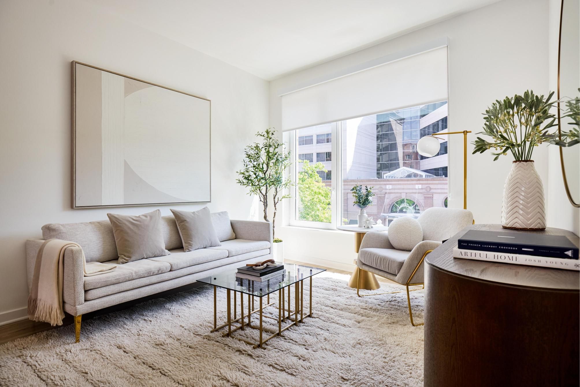 Mazza Luxury Living Room DC