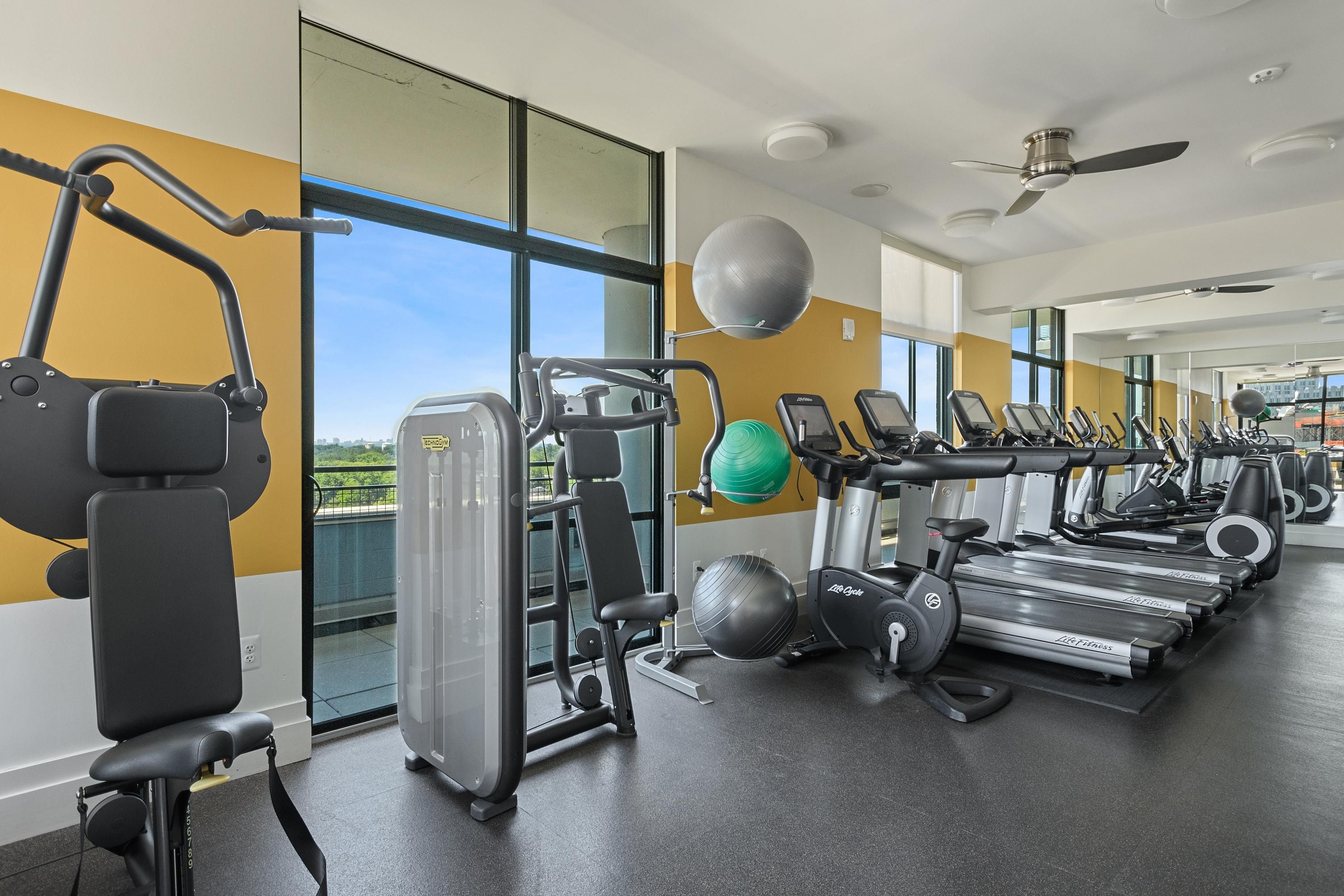 Modern gym with exercise machines, free weights, and large windows overlooking a view.