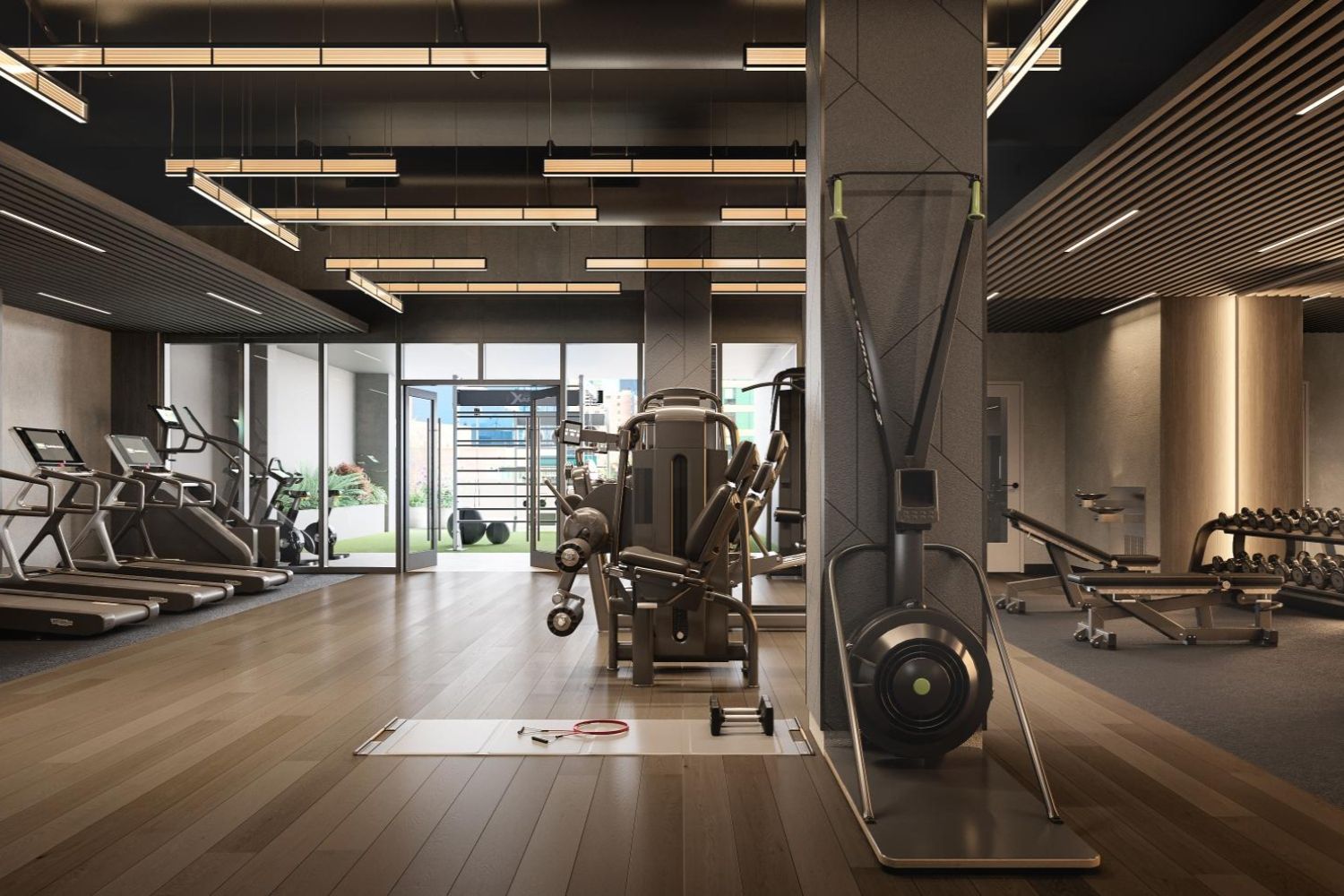 Modern gym interior featuring cardio machines and weight equipment.