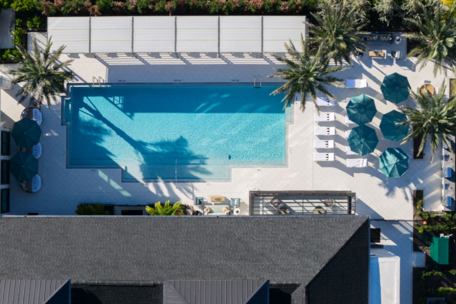 AltonOsprey_LuxuryApartments_Pool_OspreyFlorida