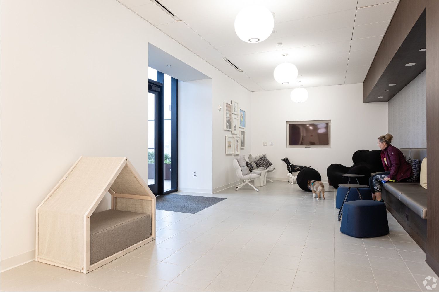 Pet Lounge