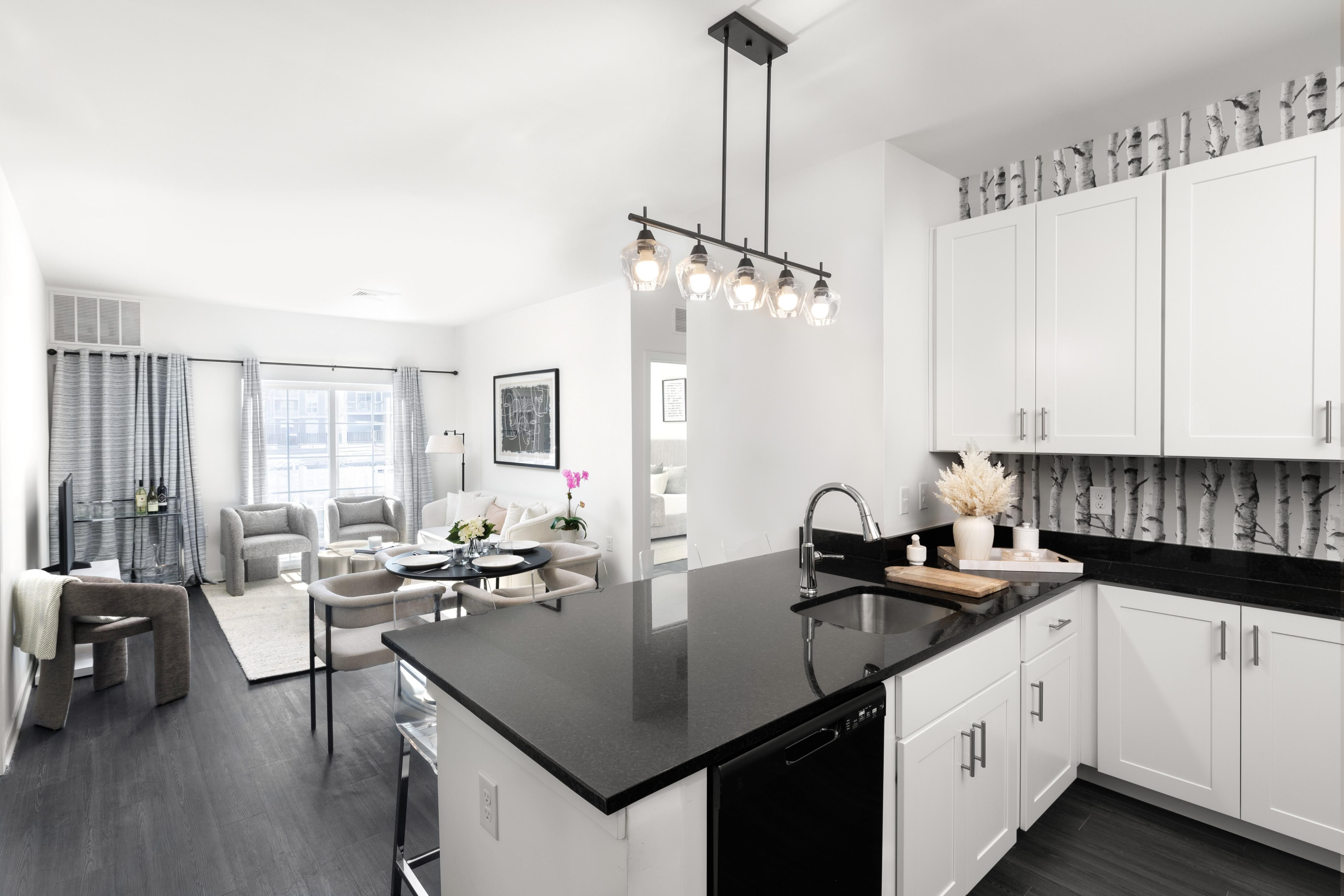 Kitchen and Living Room