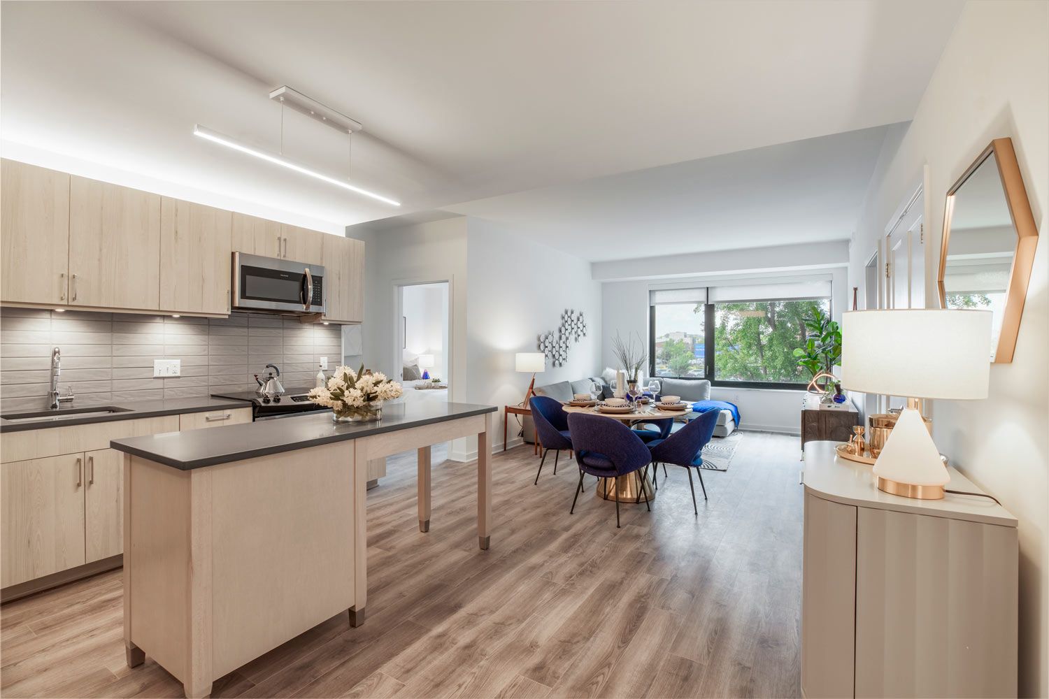 Living and Dining Room