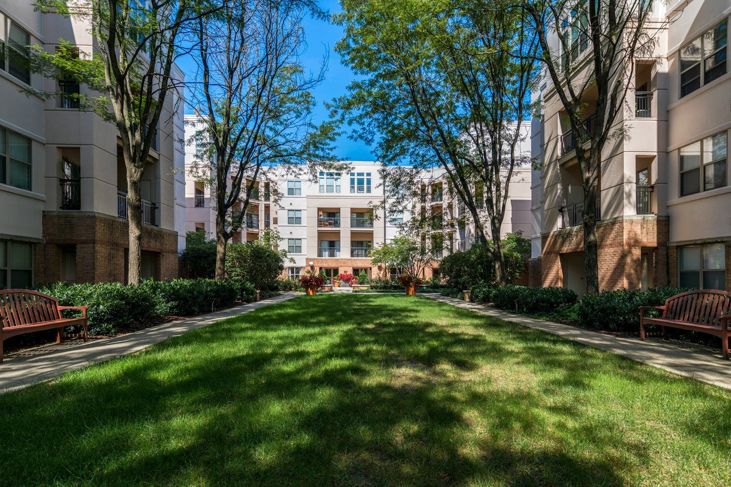 A grassy courtyard surrounded by residential buildings and trees under a clear blue sky.