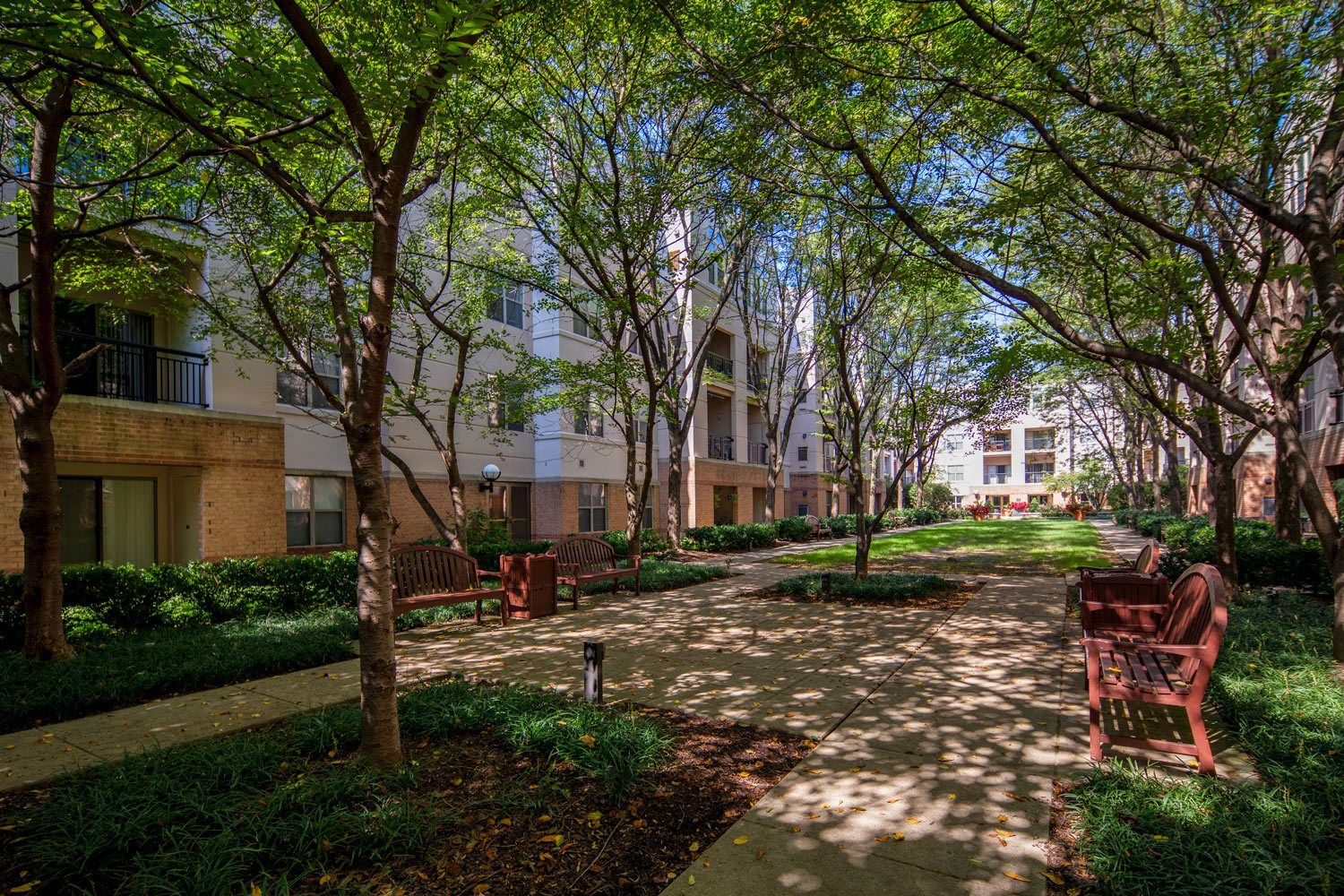 Lush, green courtyard flanked by trees and benches, surrounded by modern buildings.