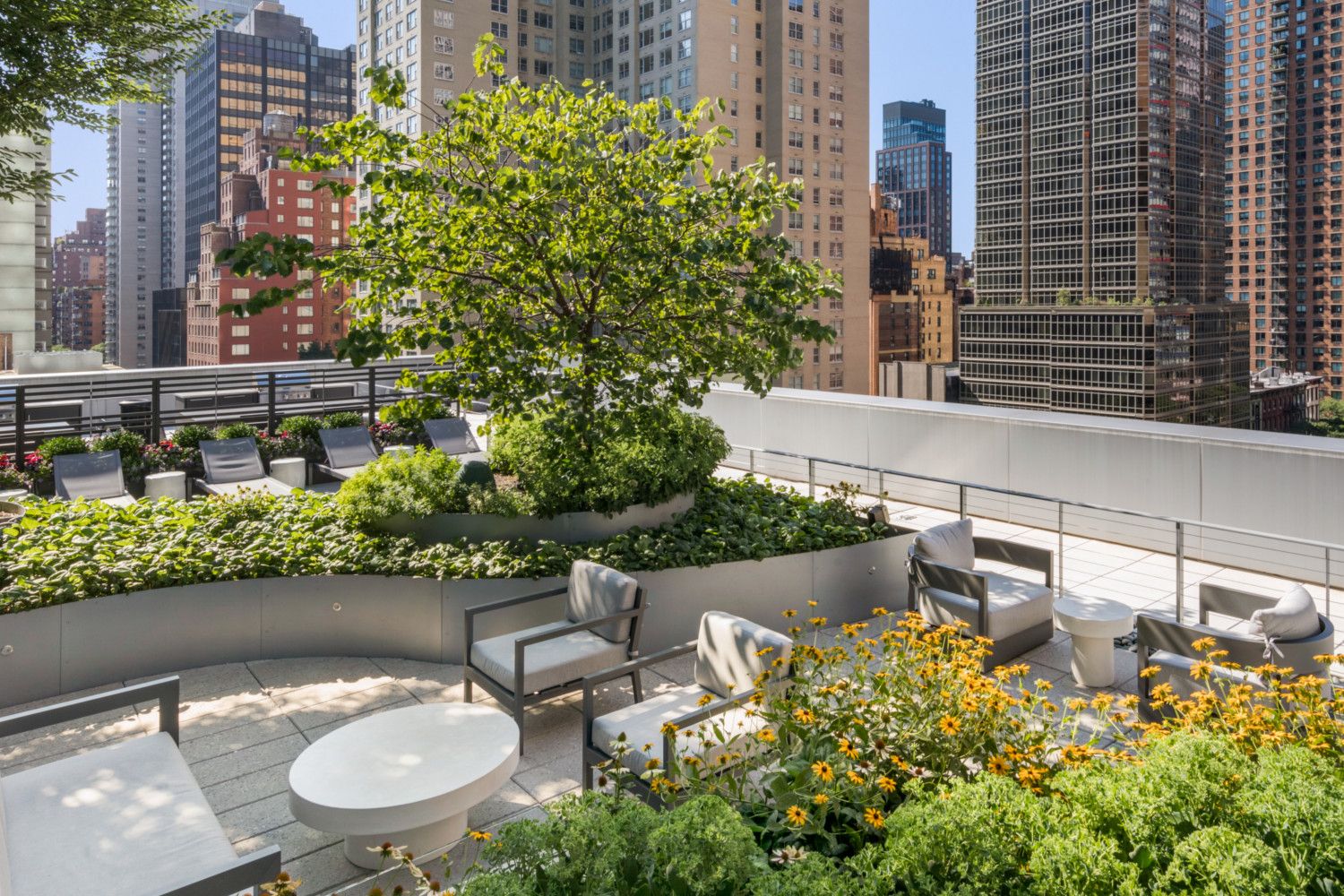 Exterior Terrace