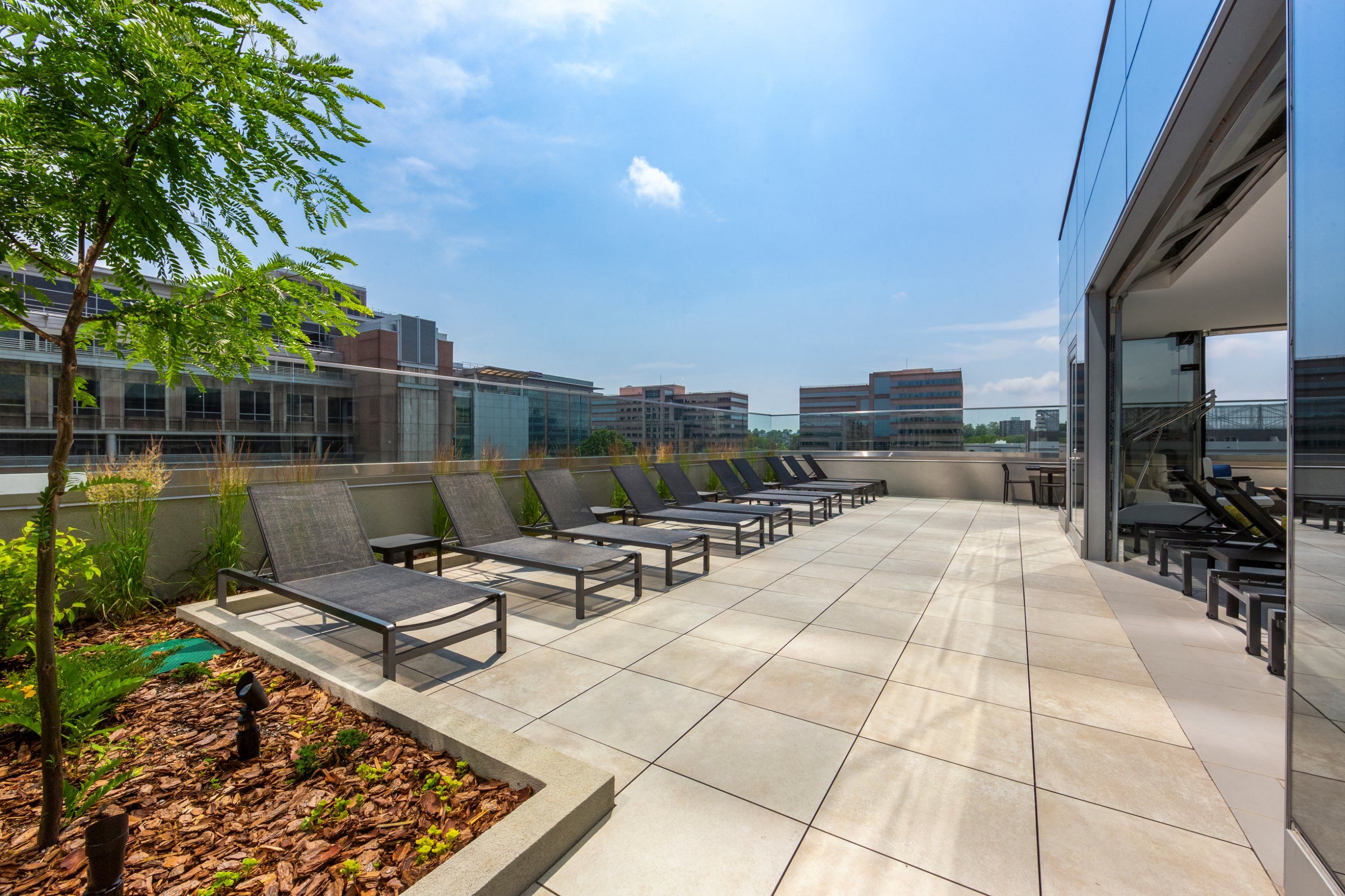 Rooftop terrace with lounge chairs and greenery under a clear blue sky.