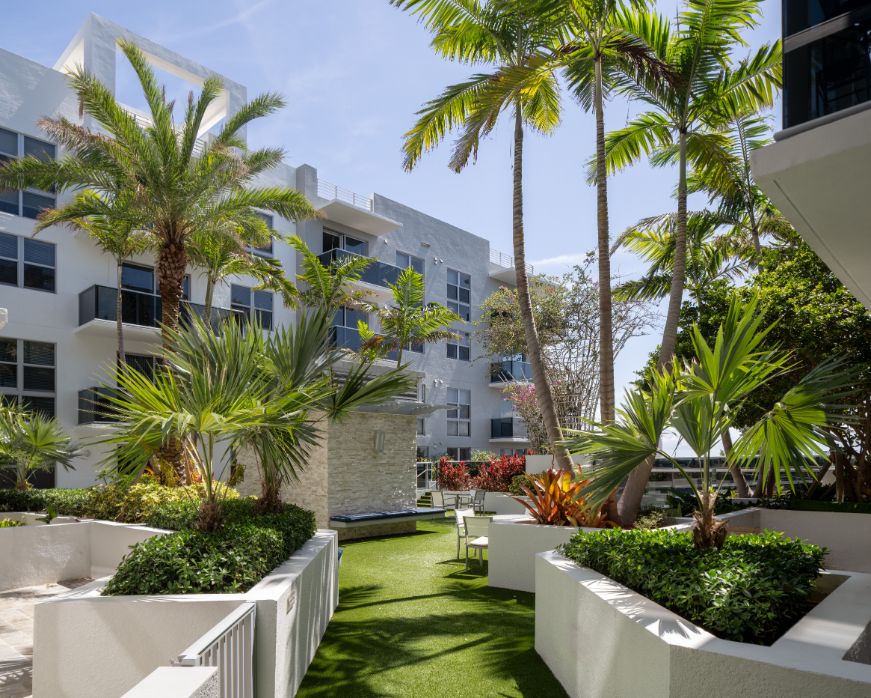 Lush courtyard with palm trees and landscaped greenery beside modern white buildings.