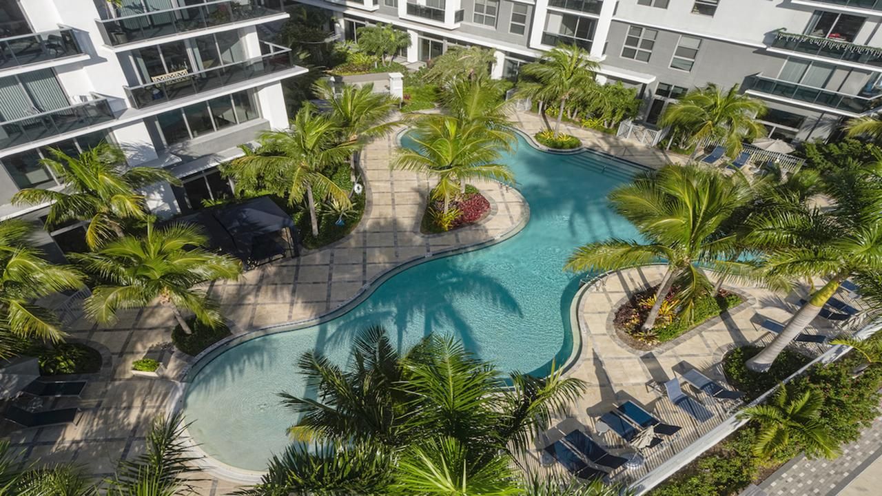 Aerial view of a curved pool surrounded by palm trees and lounge chairs.