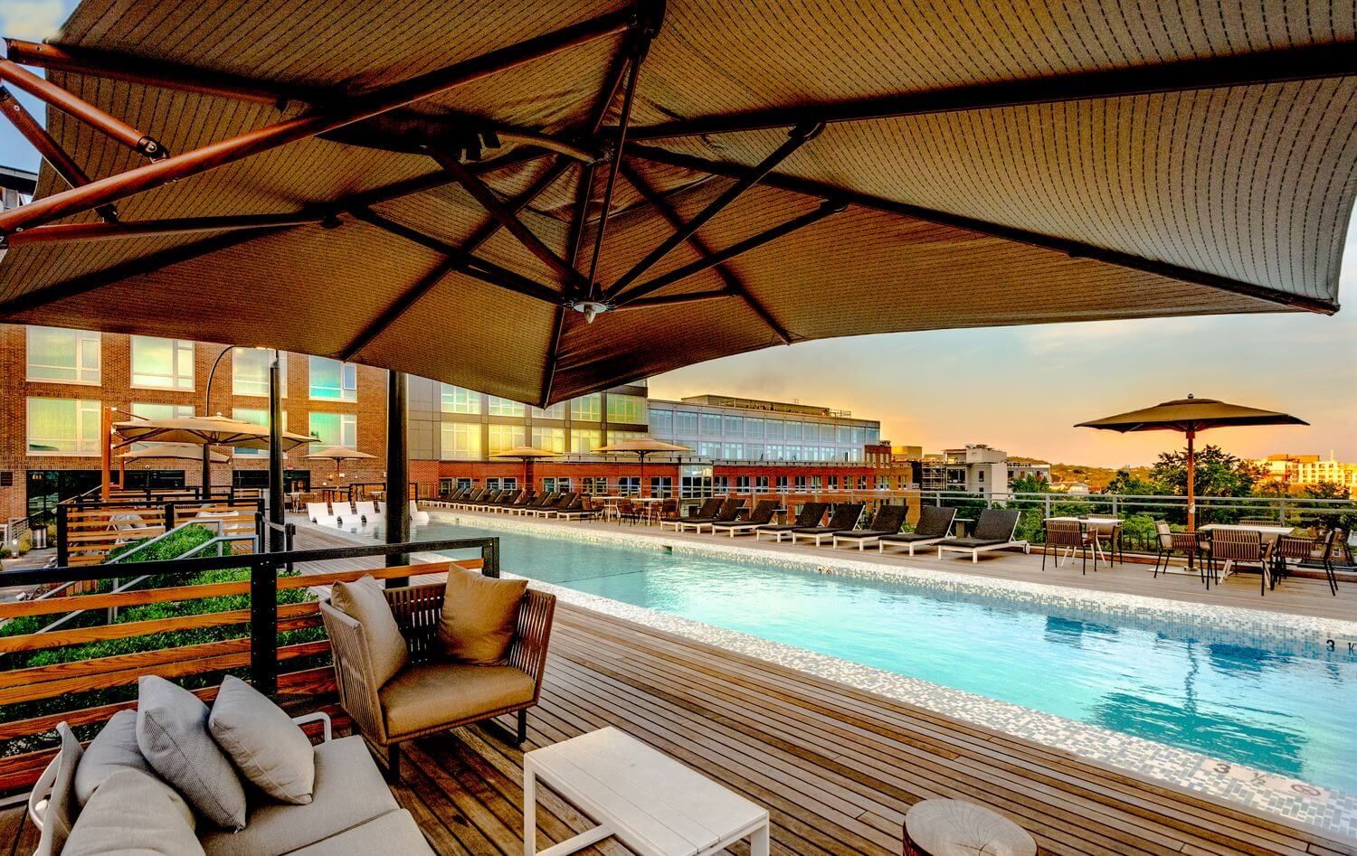 Rooftop Pool Lounge