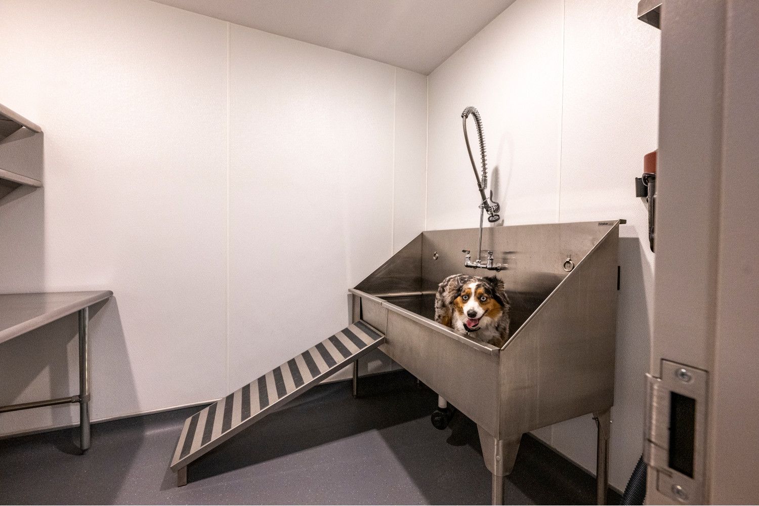 Industrial stainless steel sink with a sloped drain in a minimalist room.