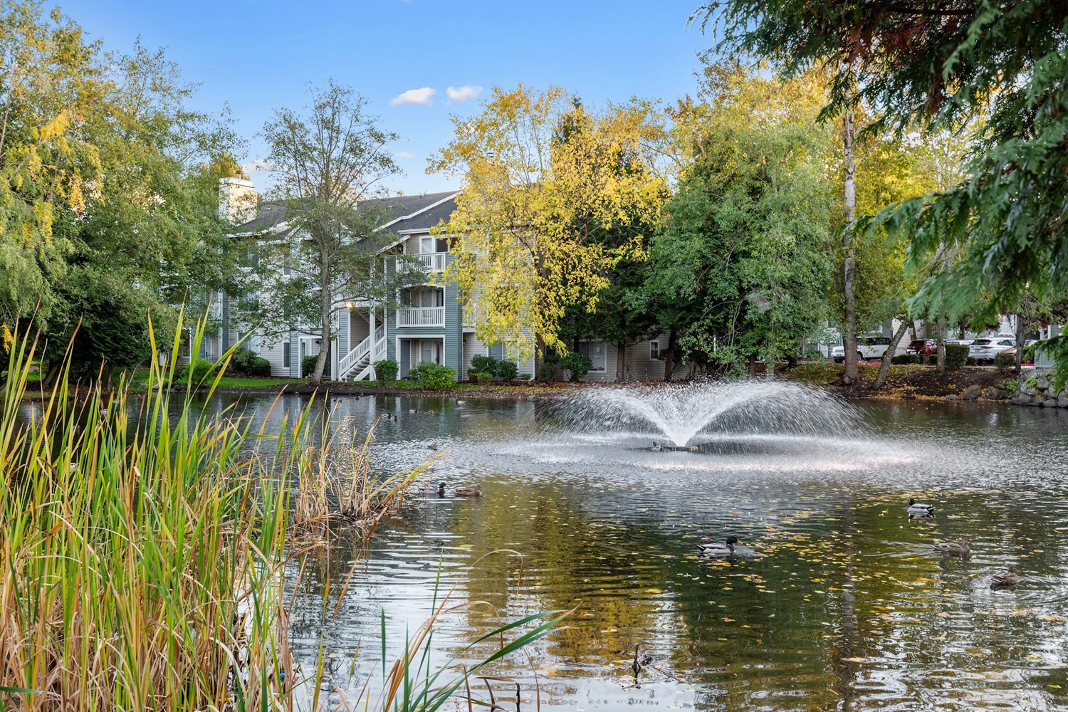 Landscaped pond with a fountain, mature trees, and apartment buildings in the background.
