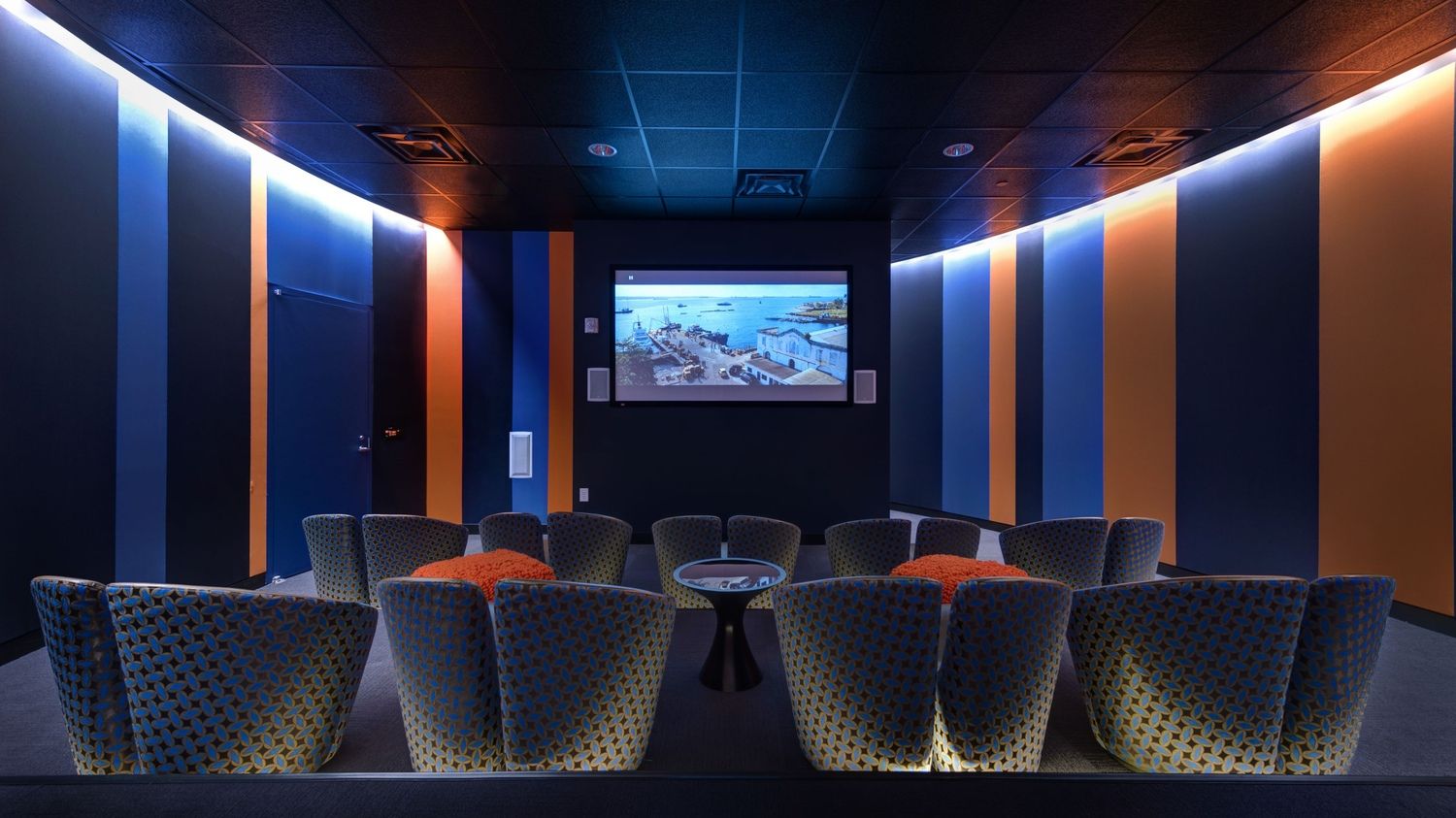Theater Room