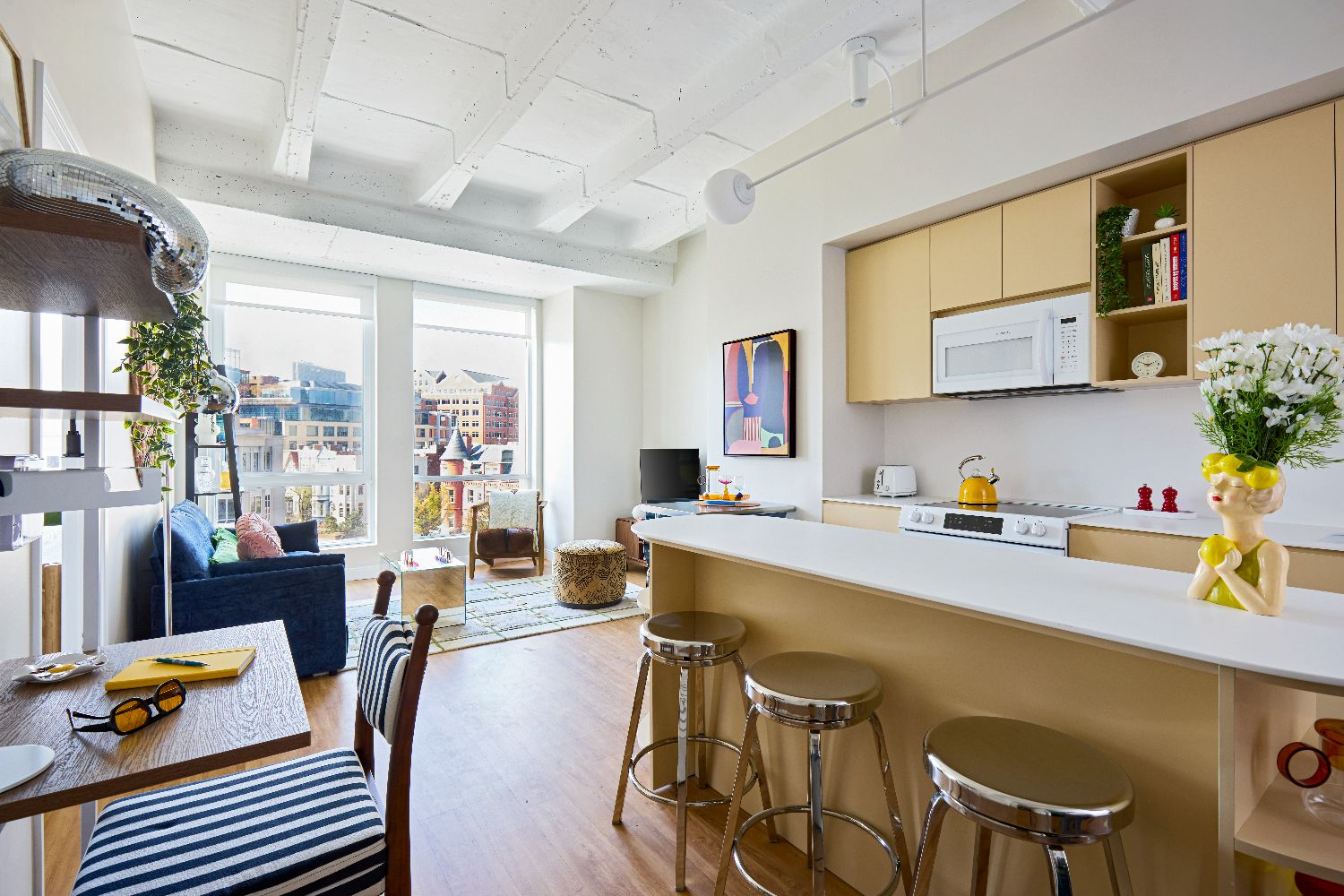 AviatorHouse_LuxuryCommunity_Kitchen_WashingtonDC