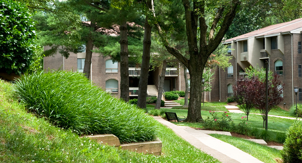 PeachTreeofMcLean_EXT_Greenery_Dec25